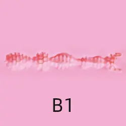 B1