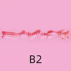 B2