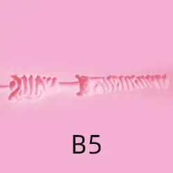 B5