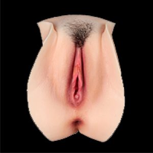 Style 2 Bikini Wax