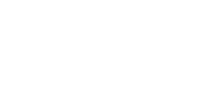 vice